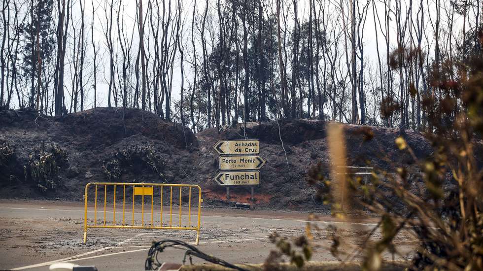Várias estradas regionais na localidade da Santa apresentam danos provocados pelos fogos, na freguesia do Porto Moniz, concelho do Porto Moniz, Madeira, 13 de outubro de 2023. HOMEM DE GOUVEIA/LUSA