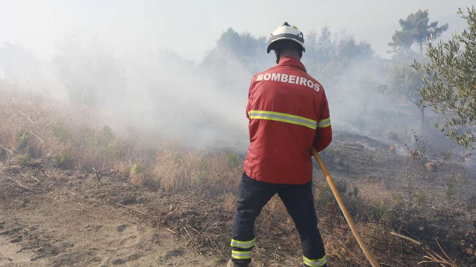 Bombeiros combatem o incêndio em Casal da Serra, no distrito de Castelo Branco, que está a ser combatido por 215 operacionais e 70 veículos no terreno, 16 de setembro de 2024. MIGUEL PEREIRA DA SILVA/LUSA