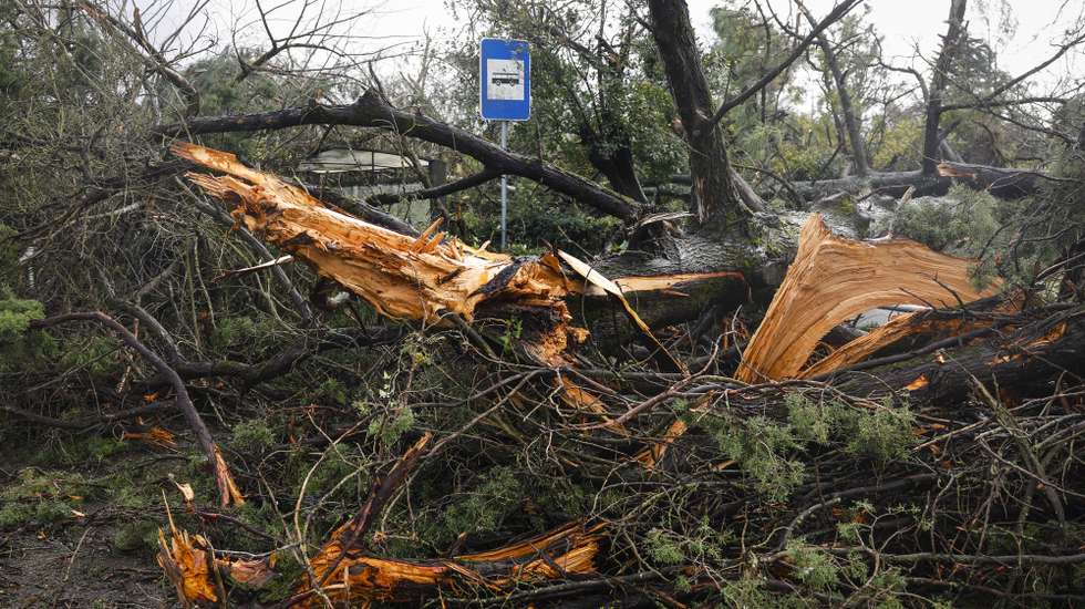 Efeitos do mau tempo na região de Leiria devido à passagem da depressão Kristin, em Leiria, 30 de janeiro de 2026. Portugal continental está a ser afetado pelos efeitos da passagem da depressão Kristin, com chuva, vento, neve e agitação marítima, tendo sido emitidos vários avisos pelo Instituto Português do Mar e da Atmosfera (IPMA). ANTÓNIO PEDRO SANTOS/LUSA