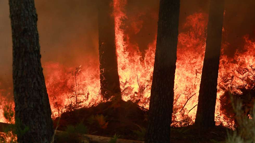 Incêndio de grandes proporções que começou há quatro dias no concelho de Trancoso e que passou para o concelho de Fornos de Algodres, distrito da Guarda, em Queiriz, 13 de agosto de 2025. O incêndio que lavra desde sábado em Trancoso, distrito da Guarda, sofreu uma reativação durante a madrugada por causa da trovoada e obrigou a um reforço de meios no terreno, segundo a proteção civil. MIGUEL PEREIRA DA SILVA/LUSA