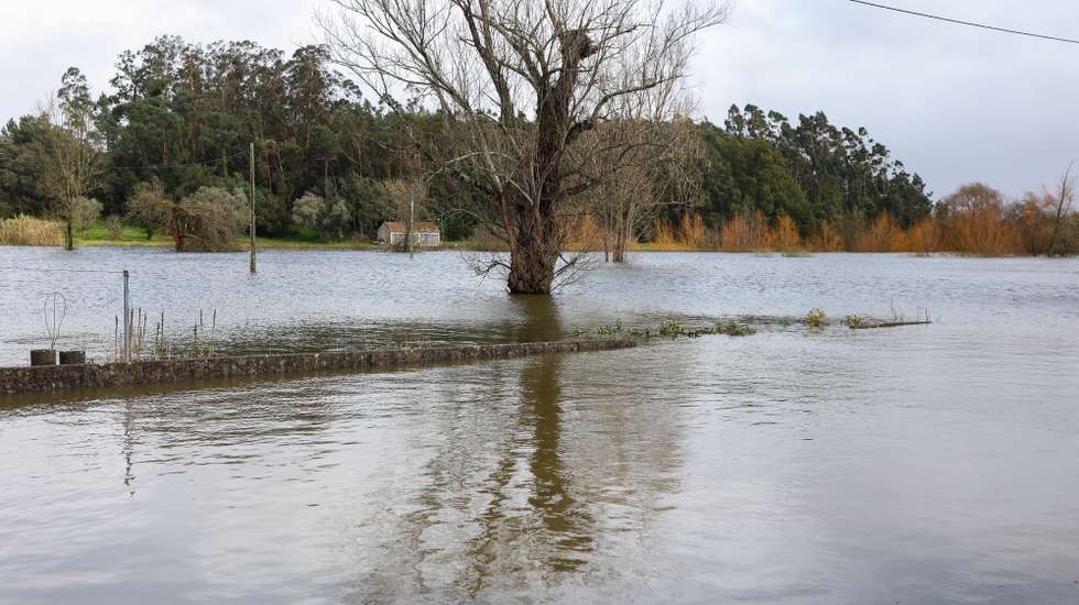 A subida da água do Rio Mondego está a causar inundações e cortes de estradas por toda a zona do Baixo Mondego, a cortar o acesso a habitações e já isolou a povoação de Ereira, Montemor-o-Velho, 7 de fevereiro de 2026. PAULO NOVAIS/LUSA