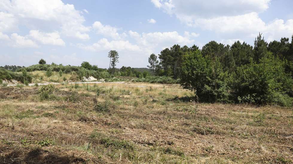 Terreno