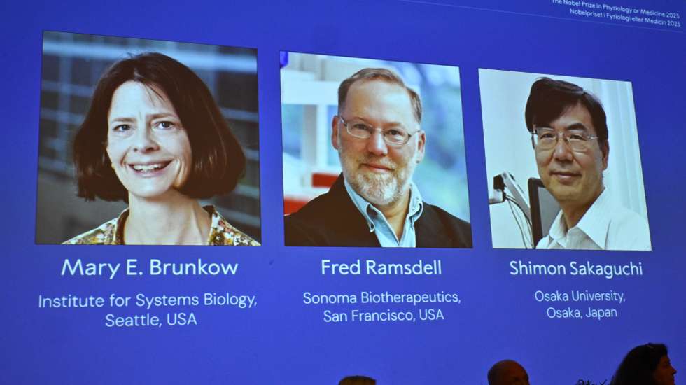 epa12434454 The recipients of the 2025 Nobel Prize in Physiology or Medicine, (L-R) Mary E. Brunkow, Fred Ramsdell and Shimon Sakaguchi, are announced by the Nobel Assembly for their discoveries concerning peripheral immune tolerance at the Karolinska Institute, in Solna, Stockholm County, Sweden, 06 October 2025.  EPA/CLAUDIO BRESCIANI/TT  SWEDEN OUT