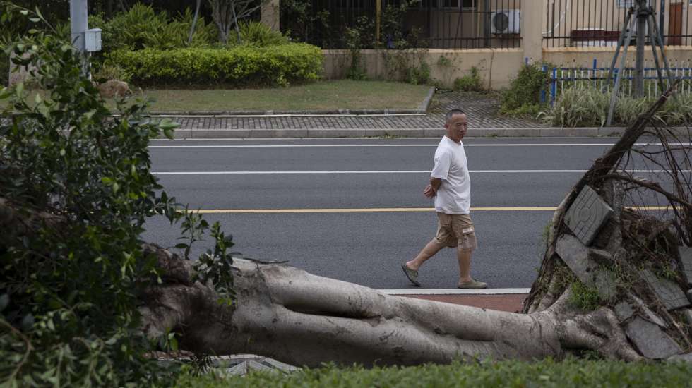 epa13106624 A man walks pass a fallen tree after the passage of Typhoon Bavi in Dongtou, Wenzhou, in the province of Zhejiang, China, 12 July 026. Typhoon Bavi, the 9th of the season, made landfall in the night between 11 and 12 July, and has downgraded into a tropical storm.  EPA/ANDRES MARTINEZ CASARES