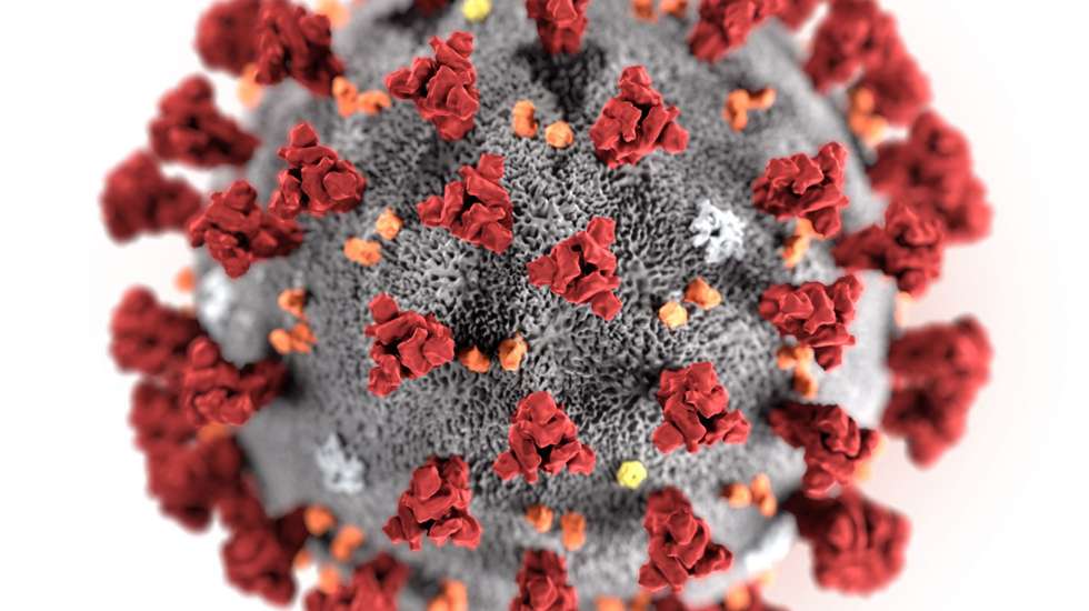 Os investigadores descobriram que os principais genótipos do SARS-CoV-2 detetados nas águas residuais eram idênticos aos aferidos clinicamente nesta região