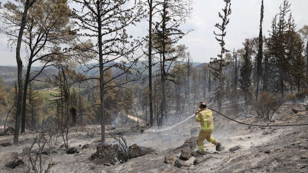epa12066822 A firefighter works to extinguish a fire burning in the Latrun area, in central Israel, between Jerusalem and Tel Aviv, 01 May 2025. Magen David Adom (MDA), Israel's national emergency services, reported that emergency teams treated and evacuated several people with minor burns and smoke inhalation. Israel has requested international aid to tackle the fires.  EPA/ABIR SULTAN