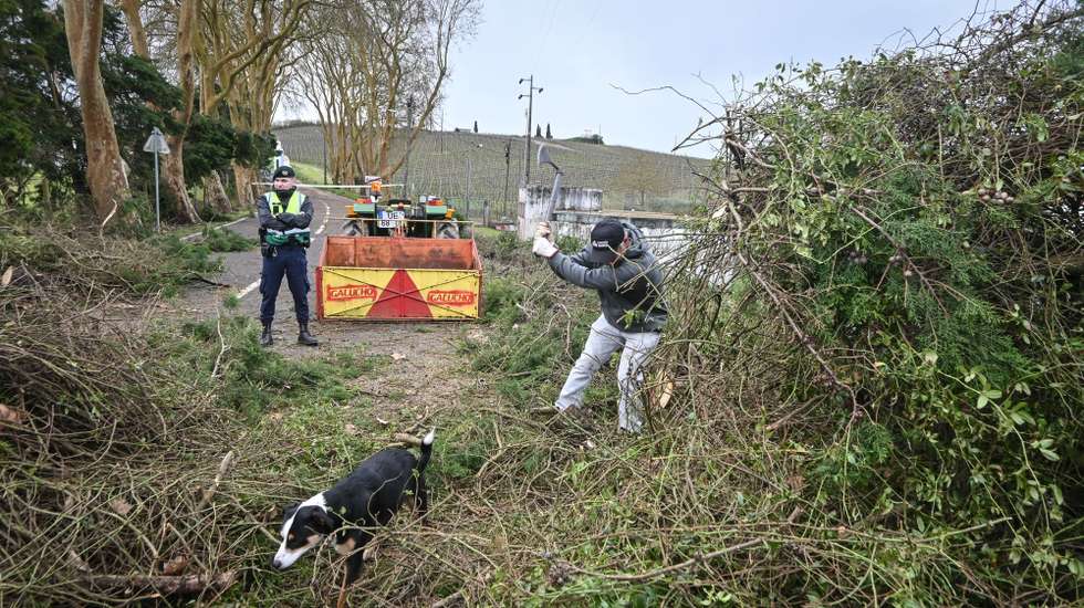 Funcionários camarários procedem à limpeza da Estrada Nacional 115 (EN115) que se encontra encerrada devido à queda de várias árvores devido à passagem da tempestade Martinho, na Corujeira, Sobral de Monte Agraço, 20 de março de 2025. Segundo a Autoridade Nacional de Emergência e Proteção Civil (ANEPC), mais de 4.000 ocorrências relacionadas com o mau tempo foram registadas em Portugal continental entre as 00:00 e as 07:00, a maioria quedas de árvores e estruturas. CARLOS BARROSO/LUSA