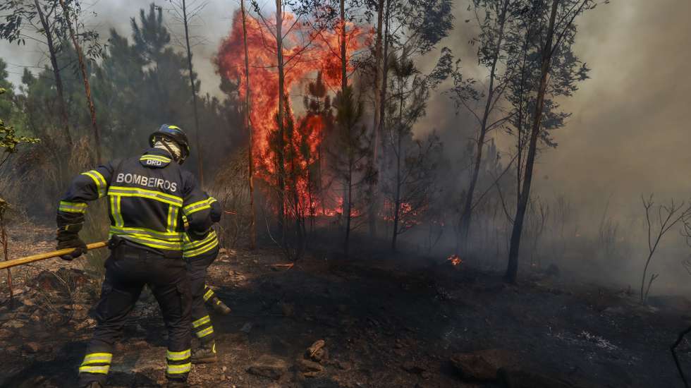 Bombeiros combatem um incêndio na localidade de Póvoa de Espinho em Mangualde, 17 de setembro de 2024. Vários incêndios continuavam ativos em Portugal continental, tendo causado quatro mortos e pelo menos 40 feridos. MIGUEL PEREIRA DA SILVA/ LUSA