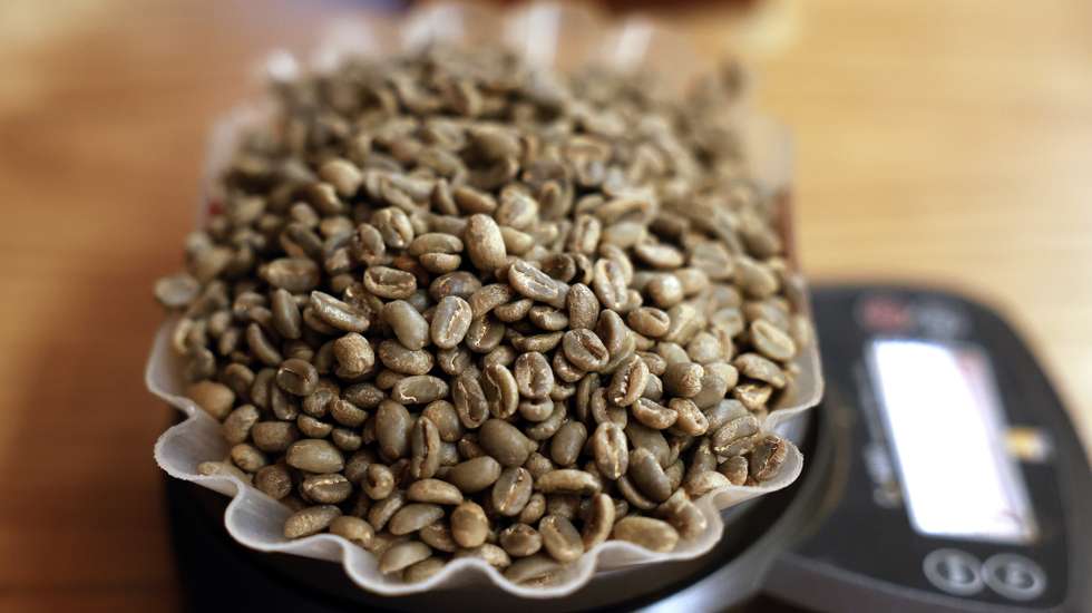 epa12252093 Coffee beans on a scale during a cupping session at Hacienda La Esmeralda, in the small town of Boquete, Panama, 17 July 2025 (Issued 21 July 2025). Amid the global ecotourism boom, Panama is holding an event that offers a glimpse into the complex world of luxury coffee which has been in the hands of landowning families for almost a century and now has a new more public-facing approach.  EPA/BIENVENIDO VELASCO