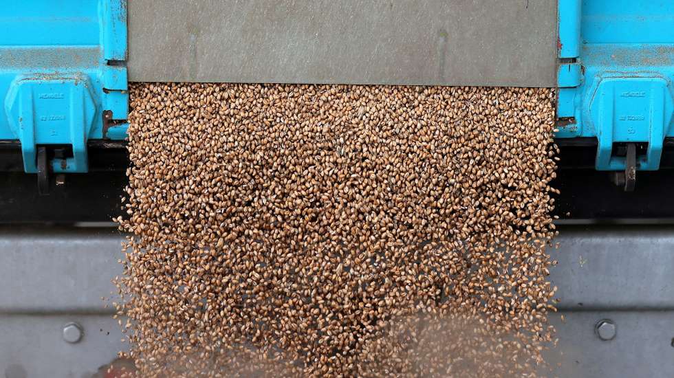 epa09888700 Grain is delivered to the Donath Mill in Bad Woerishofen, Germany, 13 April 2022. The Federal Statistical Office in Germany announces a price increase of up to 43 percent for cereals, seeds and animal feed compared to the previous year. According to forecasts, the Russian invasion of Ukraine will cause prices to rise further, particularly for cereals and flour.  EPA/FRIEDEMANN VOGEL