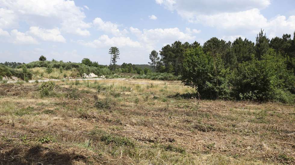 Terreno