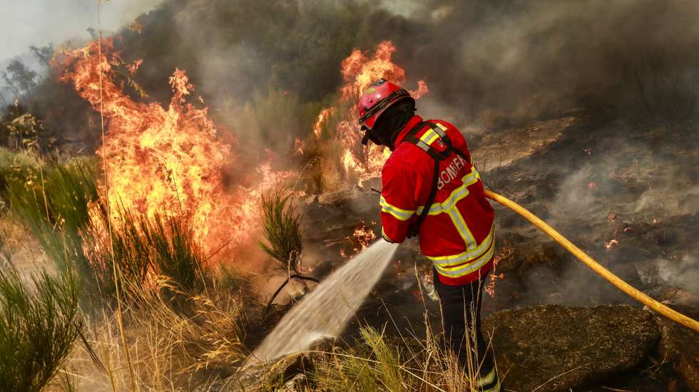 Um bombeiro combate as chamas durante o incêndio de grandes proporções que lavra há três dias no concelho de Trancoso, em Aldeia Velha, 11 de agosto de 2025. O incêndio rural que lavra desde a tarde de sábado, no concelho de Trancoso, já terá consumido 8.000 hectares, sobretudo soutos, olivais e vinhas, de acordo com o presidente da Câmara, Amílcar Salvador. MIGUEL PEREIRA DA SILVA/LUSA