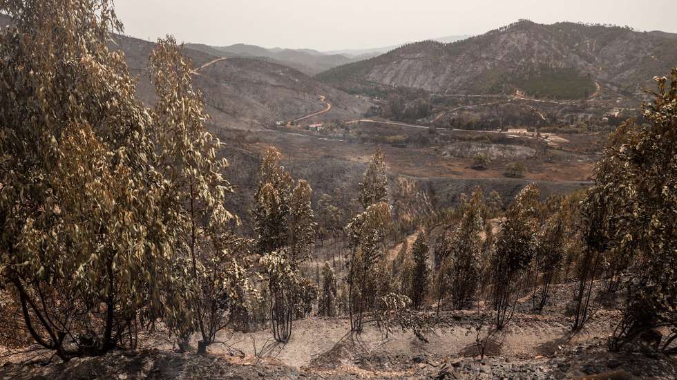 Área ardida na zona de Galé de Cima no concelho de Aljezur, 9 de agosto de 2023. O incêndio rural que deflagrou no sábado em Odemira e entrou nos concelhos de Monchique e Aljezur (Faro) destruiu pelo menos duas casas e uma unidade de turismo rural, além de vários anexos.  MIGUEL A. LOPES/LUSA