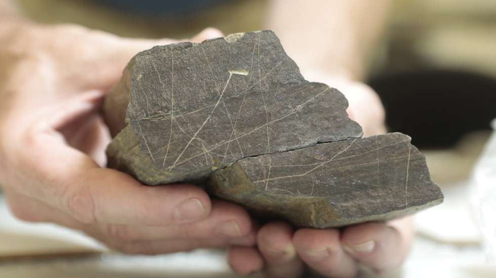 O Vale do Côa tem novos achados arqueológicos onde foi descoberta uma incisão que representa uma cerva, pouco comum neste território, Museu do Côa, em Vila Nova de Foz Côa, Guarda, 16 de agosto de 2021. Nos fragmentos que estão em investigação há mais gravuras descobertas junto à rocha 09 no Sitio do Fariseu. Para já, é com alguma segurança que dizem que estas gravuras terão sido gravadas há mais de 14.000 anos. (ACOMPANHA TEXTO DA LUSA DO DIA 17 DE AGOSTO DE 2021). MIGUEL PEREIRA DA SILVA/LUSA
