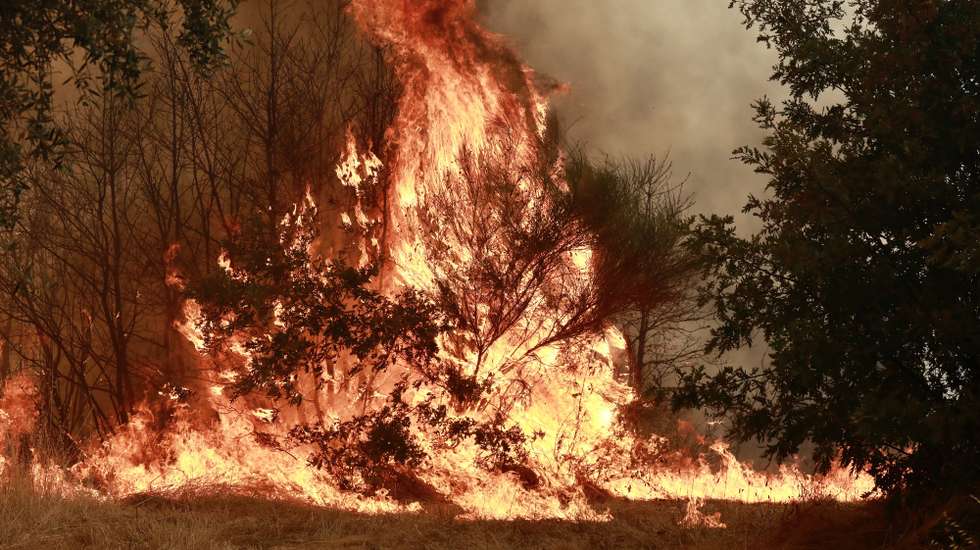 Incêndio de grandes proporções que lavra há três dias no concelho de Trancoso, em Aldeia Velha, 11 de agosto de 2025. O incêndio rural que lavra desde a tarde de sábado, no concelho de Trancoso, já terá consumido 8.000 hectares, sobretudo soutos, olivais e vinhas, de acordo com o presidente da Câmara, Amílcar Salvador. MIGUEL PEREIRA DA SILVA/LUSA