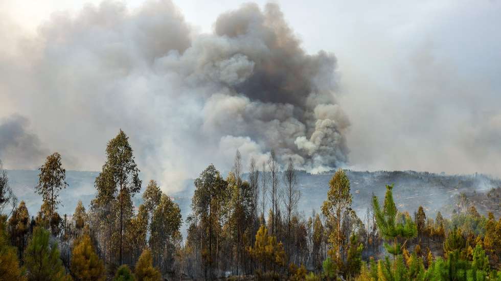 Coluna de fumo durante o incêndio que consome floresta em Ervedal da Beira, Oliveira do Hospital, 19 de setembro de 2025. O fogo que lavra desde a tarde de hoje em Oliveira do Hospital, no distrito de Coimbra, obrigou à retirada de mais de duas dezenas de pessoas das suas casas. PAULO NOVAIS/LUSA
