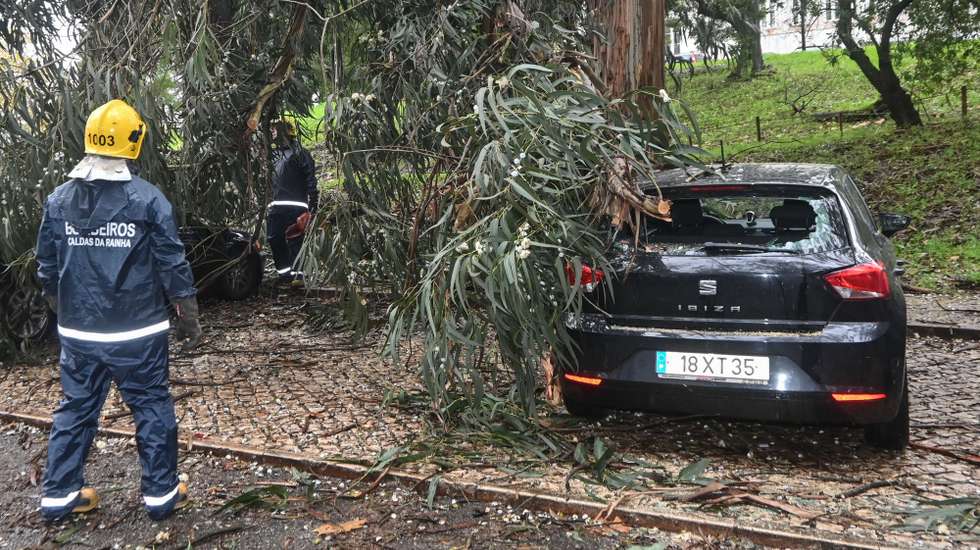 Elementos dos bombeiros cortam o tronco de uma árvore que caiu sobre quatro viaturas estacionadas na via pública foram atingidas, nas Caldas da Rainha, 13 de novembro de 2025. A Autoridade Nacional de Emergência e Proteção Civil (ANEPC) registou mais de 60 ocorrências entre as 04:30 e as 07:00 relacionadas com a chuva forte por causa da depressão Claudia, sobretudo inundações da via pública. CARLOS BARROSO/LUSA