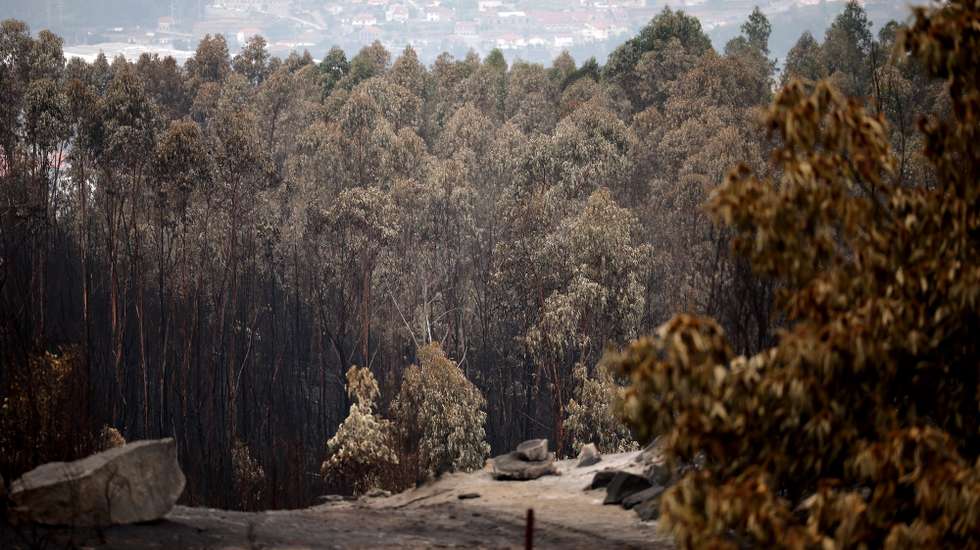 Área ardida pelo incêndio florestal que deflagrou ao final da tarde de segunda-feira em Rebordões, no concelho de Santo Tirso, e que chegou a ter mais de 200 homens apoiados por mais de 70 viaturas no combate a quatro frentes ativas, queimaram mil hectares de mato e floresta, 20 de agosto de 2026. (ACOMPANHA TEXTO). ESTELA SILVA/LUSA