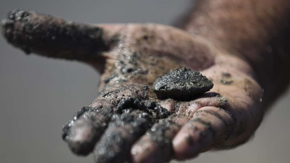 Da ação conjunta resultou ainda a apreensão de 1.600 kg de bivalves, cinco embarcações, duas balanças e uma ganchorra utilizadas para a sua captura