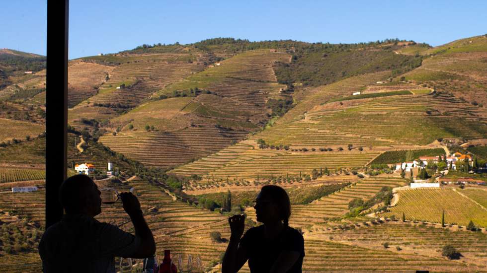 sustentabilidade do Douro nos 20 anos