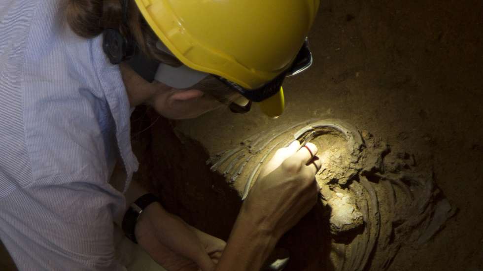 epa07820297 An archeologist from the University of Cambridge carries out excavations in the Shanidar Cave, 125kms north Erbil, Kurdistan Region, Iraq, 05 September 2019. The team works to discover the 11th skeleton belonging to Neanderthal human, examine the burial methods and carry a study to find out the reasons behind their extinction. The remains of nine Neanderthals, dating from around 65,000-35,000 years ago, were discovered in the cave in 1960, while the 10th have been found in 2018.  EPA/GAILAN HAJI