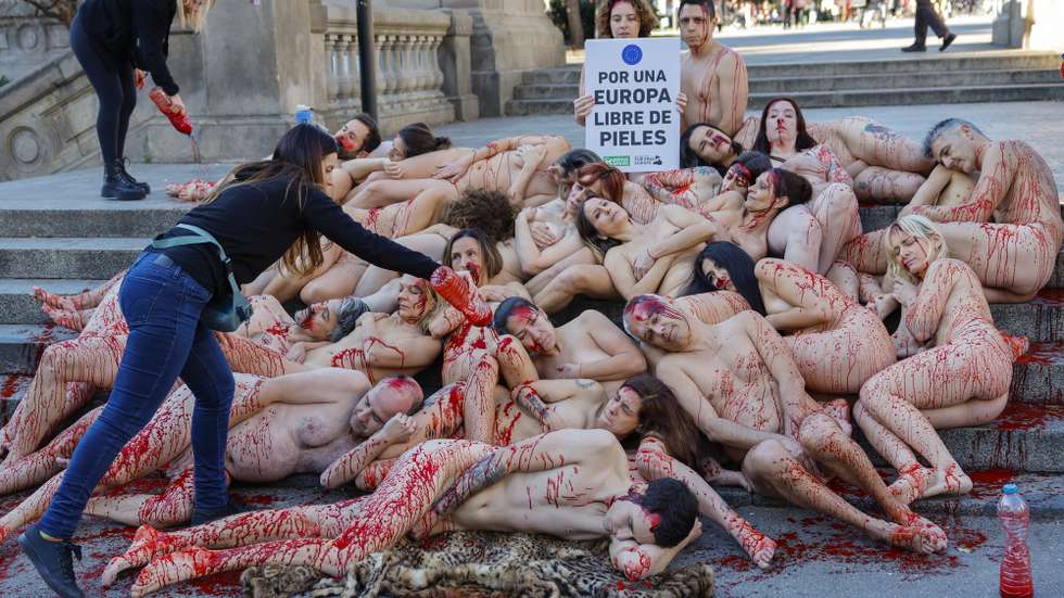 epa11820434 Activist in favor of animal welfare lie down naked and covered in red paint as they stage a protest to demand a ban on fur farms in Europe, in Barcelona, north-eastern Spain, 12 January 2025.  EPA/TONI ALBIR