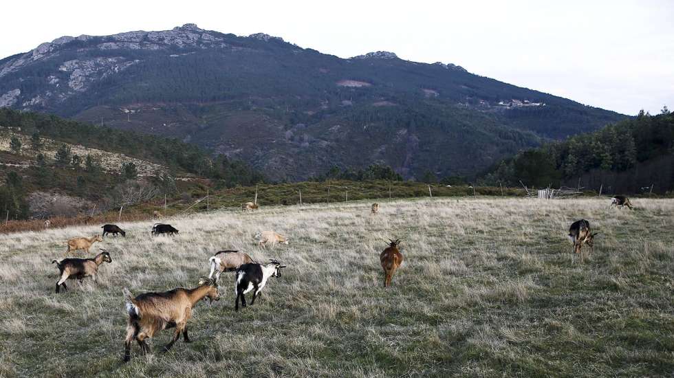 Serra da Lousã integra a rede turística Aldeias do Xisto