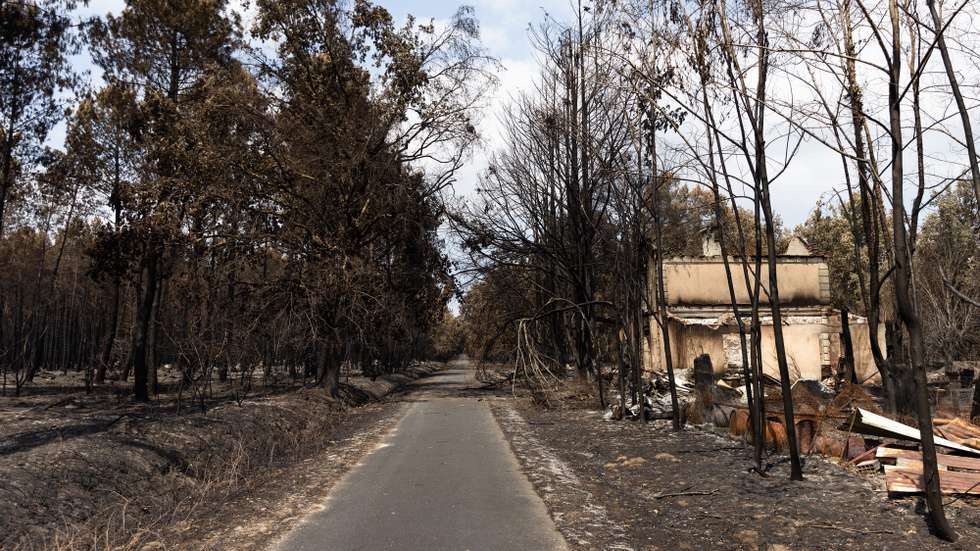 epa13142253 Burned trees with a damage structure along a road near Le Porge, southwestern France, 30 July 2026, as firefighters continue operations to contain a wildfire across the Gironde region. The wildfire forced the evacuation of tens of thousands of residents and holidaymakers from popular coastal towns and destroyed dozens of structures. Emergency crews and military engineers remain deployed across the area to establish containment lines and extinguish hot spots amid persistent summer heat.  EPA/SOPHIE GARCIA