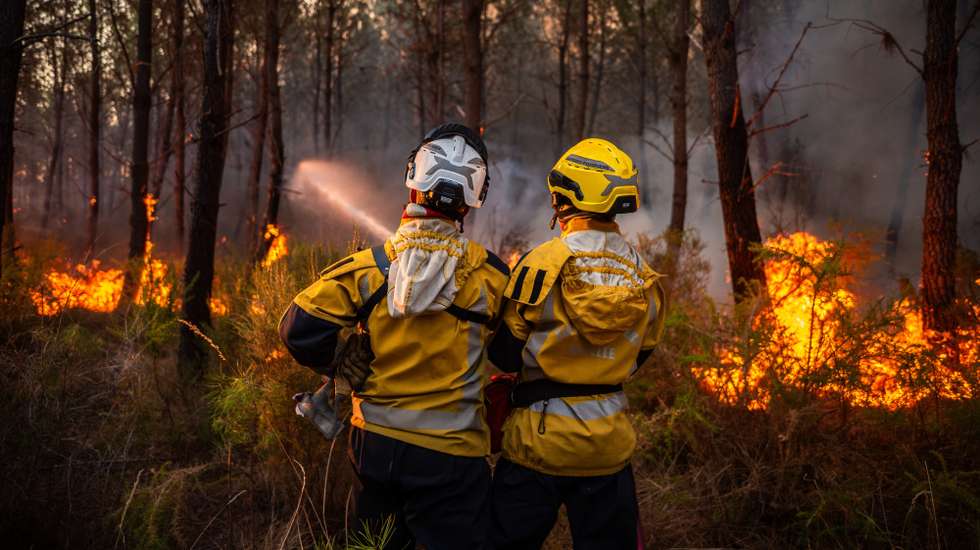 epa13141095 A handout photo made available by the Departmental Fire and Rescue Service 22 (SDIS33) shows firefighter work to contain a major wildfire near Saumos, Gironde department, France, 29 July 2026 (issued 30 July 2026). According to regional authorities, the wildfire that broke out near Saumos has burned roughly 42,000 hectares of pine forest and forced the evacuation of over 200,000 residents across the Gironde region.  EPA/MAEL DUBIEZ / SDIS33 /HANDOUT HANDOUT EDITORIAL USE ONLY/NO SALES