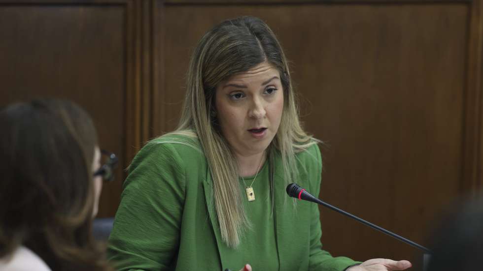 A ministra da Cultura, Juventude e Desporto, Margarida Balseiro Lopes, intervém durante a Comissão de Assuntos Constitucionais, Direitos, Liberdade e Garantias, na Assembleia da República, em Lisboa, 14 de abril de 2026. MANUEL DE ALMEIDA/LUSA