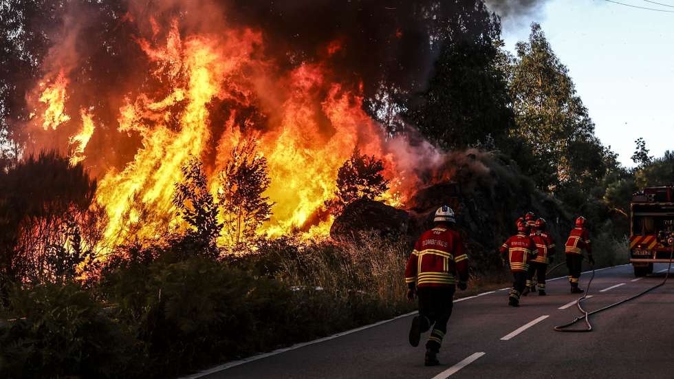 Incêndio Vouzela