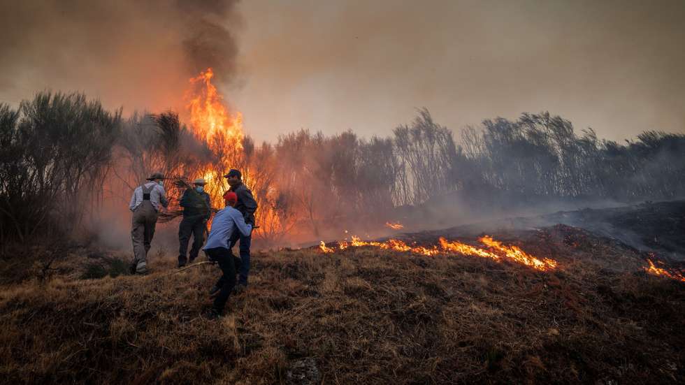 Populares tentam apagar o fogo na aldeia de Covelo que se viu envolvida pelas chamas, esta tarde, em Vila Real,  21 de agosto 2022.  PEDRO SARMENTO COSTA/LUSA