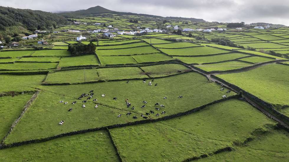 Ilha Terceira