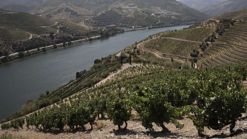 Há várias oportunidades para visitar não só o Douro Vinhateiro, mas também locais conhecidos pela amêndoa, castanha, espumante ou azeite