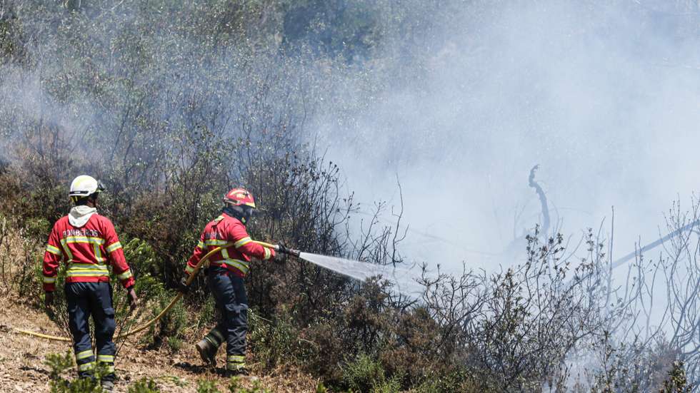 Bombeiros combatem o incêndio em Budens, Vila do Bispo 20 junho 2020. O incêndio que ontem começou em Aljezur alastrou-se para os concelhos de Vila do Bispo e Lagos. LUÍS FORRA/ LUSA