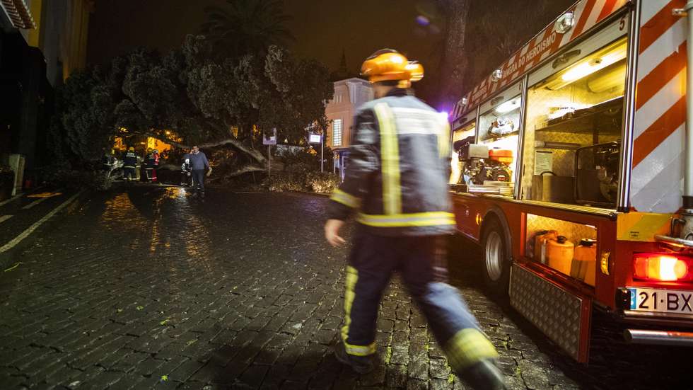 Elementos dos bombeiros e da proteção civil junto à árvore de grande porte após a queda na Rua do Marquês, devido ao mau tempo em Angra do Heroísmo, na Ilha Terceira, Açores, 27 de janeiro de 2020. ANTÓNIO ARAÚJO/LUSA