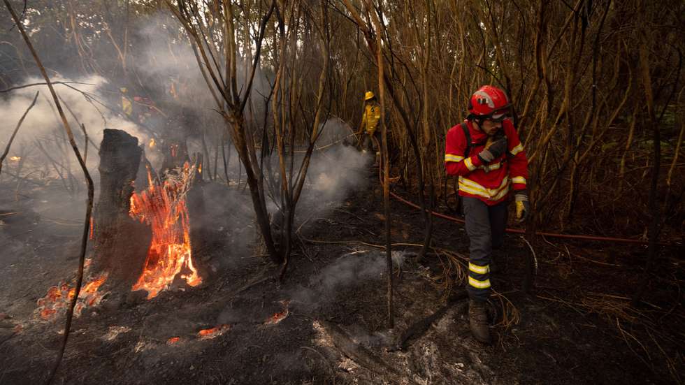 Bombeiros combatem um incêndio em Raiz do Monte, Vila Pouca de Aguiar, 19 de Setembero de 2024. Sete pessoas morreram e cerca de 120 ficaram feridas nos incêndios que atingem desde domingo sobretudo as regiões Norte e Centro do país, nos distritos de Aveiro, Porto, Vila Real, Braga, Viseu e Coimbra, e que destruíram dezenas de casas e obrigaram a cortar estradas e autoestradas. PEDRO SARMENTO COSTA/LUSA