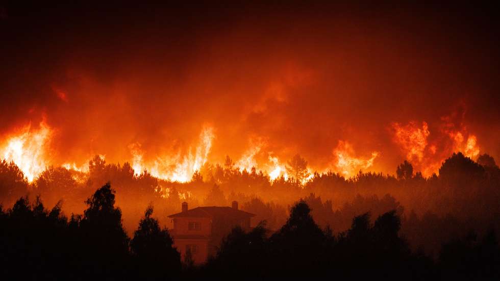 Incêndio florestal
