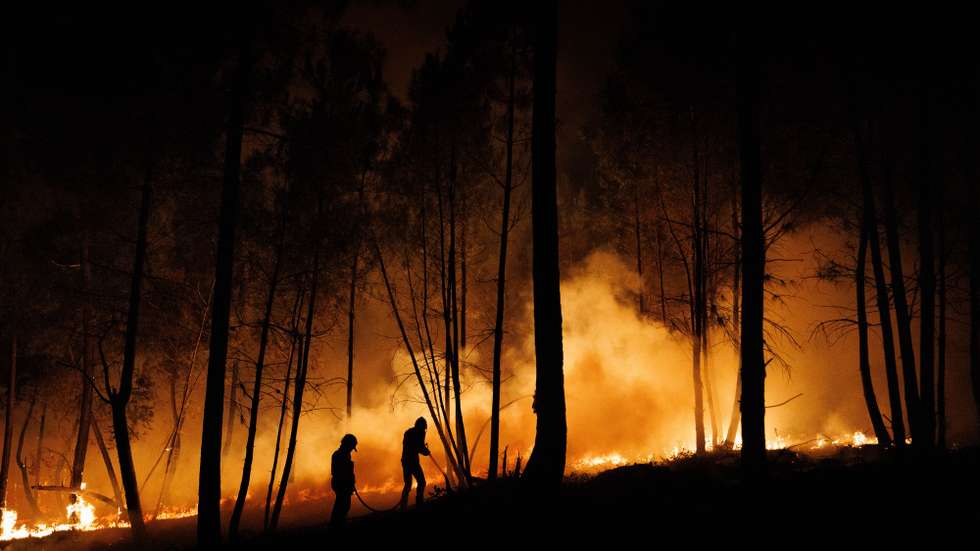 Bombeiros combatem as chamas durante um incêndio em São Martinho da Anta, concelho de Sabrosa, Vila Real, 2 de agosto de 2025. O fogo que começou em São Cibrão, Vila Real, alastrou para o concelho de Sabrosa, onde lavra em duas frentes com alguma intensidade e mobiliza cerca de 240 operacionais. PEDRO SARMENTO COSTA/LUSA
