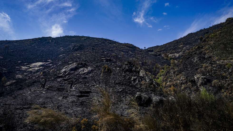 Parque Natural da Penêda-Gerês ardido