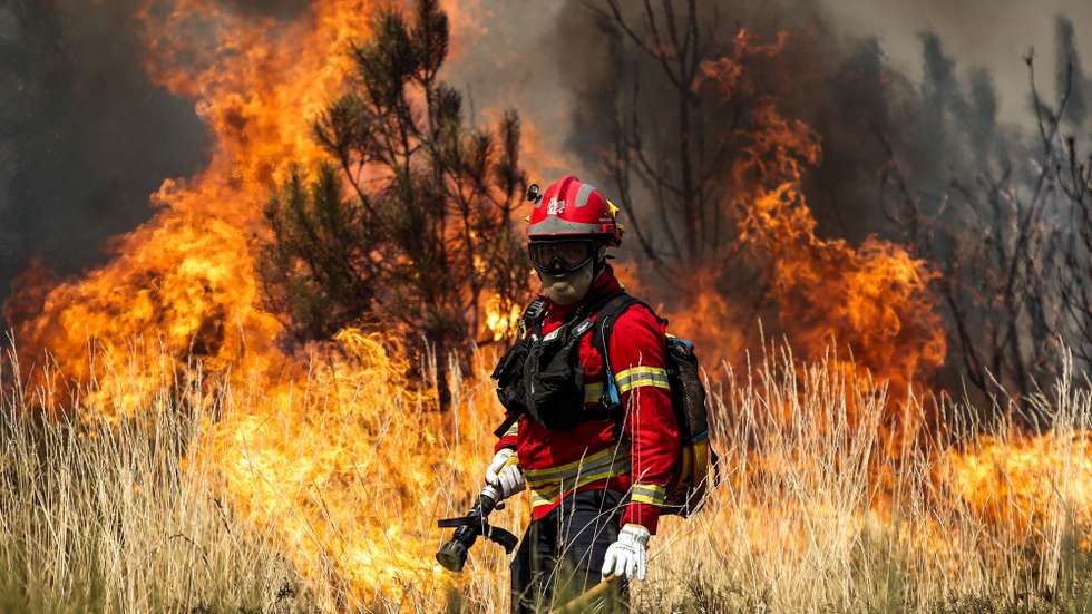 Um bombeiro combate as chamas durante o incêndio na encosta da aldeia de Moura da Serra, Arganil, 14 de agosto de 2025. De acordo com os dados disponíveis no ‘site’ da Autoridade Nacional de Emergência e Proteção Civil (ANEPC), quase 900 operacionais combatiam o fogo que deflagrou na quarta-feira na freguesia de Piódão, no concelho de Arganil, distrito de Coimbra, e se estendeu depois aos municípios de Oliveira do Hospital e Pampilhosa da Serra (Coimbra), e de Seia, já no distrito da Guarda. PAULO CUNHA/LUSA