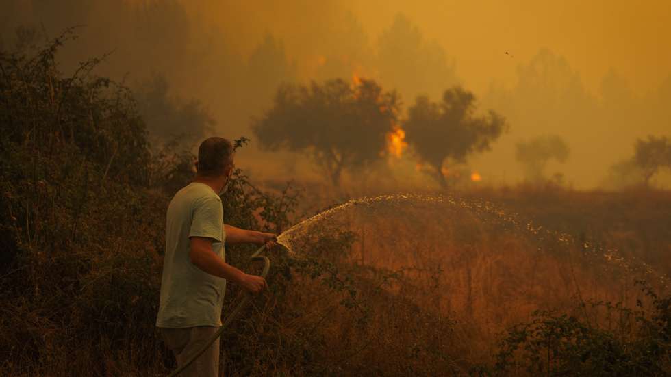 A local man fights the flames during a wildfire that started in Valpacos and is now raging in Fradizela, Mirandela, Portugal, 29th July 2026.  PEDRO SARMENTO COSTA/LUSA