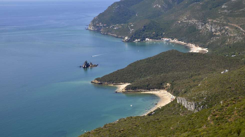 A baleia deu à costa no Portinho da Arrábida, em Setúbal.