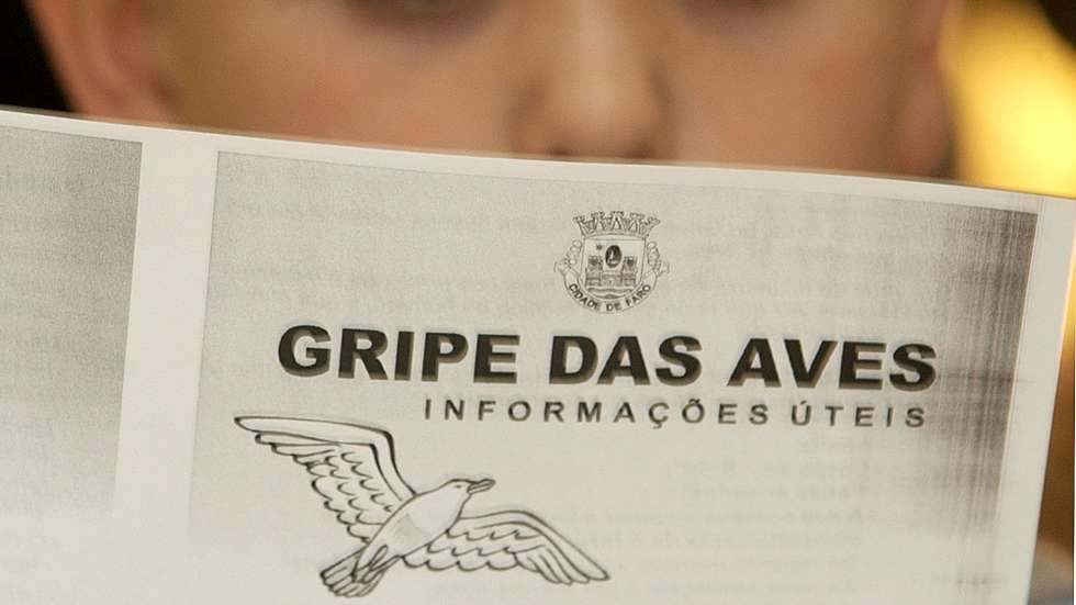 Uma crianca da escola primaria da ilha da Culatra le atentamente um folheto informativo sobre a gripe das aves, inserido na sessao de esclarecimento levada a cabo hoje, quarta feira,22 de marco de 2006, pela camara de Faro e do parque natural da Ria Formosa.FOTO LUIS FORRA/ LUSA