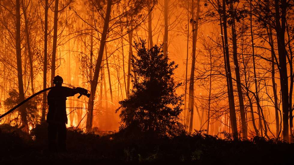 epa13133447 A handout photo made available by SDIS33 (Gironde Departmental Fire and Rescue Service) shows a firefighting crew being deployed to battle a wildfire spreading in Ares, south-western France, late 25 July 2026 (issued 26 July 2026).  EPA/DAMIEN REMBERT / HANDOUT HANDOUT EDITORIAL USE ONLY/NO SALES