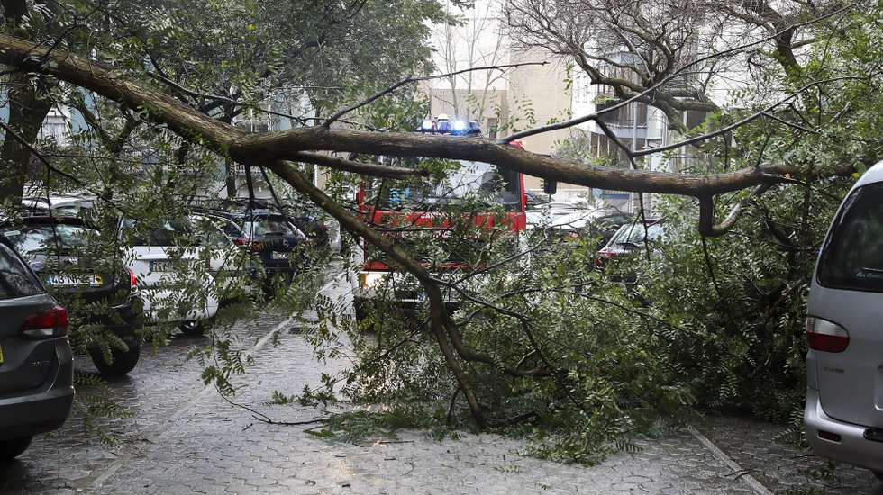 Bombeiros de Carnaxide procedem à remoção de uma árvore após o vento forte e chuva provocar a sua queda, em Carnaxide, 20 fevereiro 2021. O Instituto Português do Mar e Atmosfera (IPMA) pôs sob aviso laranja 13 dos 18 distritos de Portugal Continental, incluindo toda a costa do país, e a amarelo cinco distritos do interior devido ao mau tempo. MANUEL DE ALMEIDA/LUSA