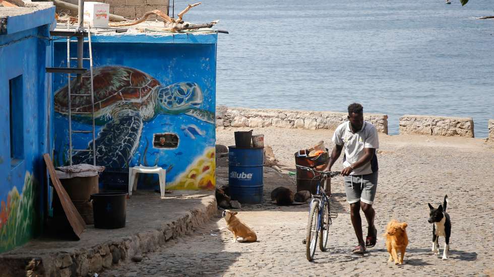 Um tubarão, polvo, golfinhos, tartarugas, peixes, algas, entre muitas outras referências ao fundo do mar dão nova cor a fachadas de 13 casas numa localidade piscatória em Cabo Verde para retratar o percurso do navegador francês Jacques Cousteau, em Porto Mosquito, ilha de Santiago, Cabo Verde, 08 de fevereiro de 2021. O projeto é da Associação Lantuna e o primeiro mural foi pintado em 2018 para sensibilizar as pessoas sobre a conservação das aves marinhas em Porto Mosquito, uma comunidade piscatória no concelho da Ribeira Grande de Santiago, com pouco mais de mil habitantes, e que dista a 20 quilómetros da capital do país, a cidade da Praia. (ACOMPANHA TEXTO DA LUSA DO DIA 27 DE FEVEREIRO DE 2021). FERNANDO DE PINA/LUSA