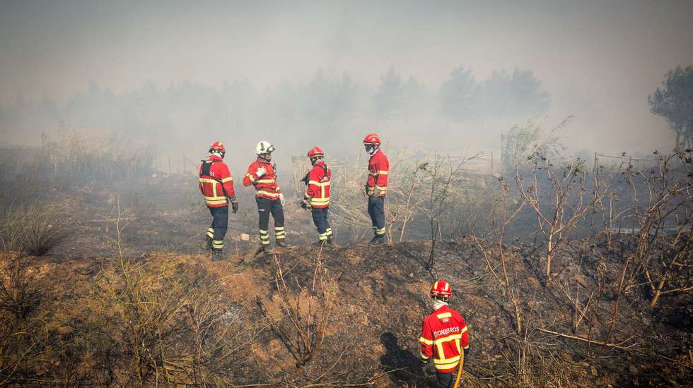 Bombeiros durante um incêndio que deflagrou hoje em zona de mato por volta das 12:20, em Alcabideche, no concelho de Cascais, Lisboa, de acordo com a Proteção Civil, 21 de julho de 2024. Segundo a página da Autoridade Nacional de Emergência e Proteção Civil (ANEPC), consultada às 17:08, 313 bombeiros, 91 veículos e nove meios aéreos combatiam o incêndio no local. ANTÓNIO PEDRO SANTOS/LUSA