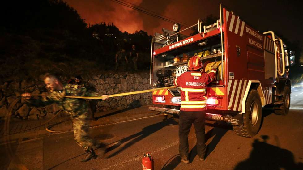A reflorestação tem em conta os objetivos previamente estabelecidos, a resposta do ecossistema ao fogo