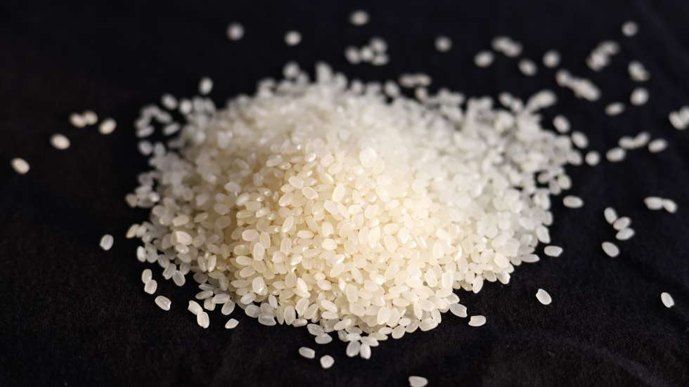 epa12307722 Rice grains on a table in Taipei, Taiwan, 18 August 2025.  EPA/RITCHIE B. TONGO ILLUSTRATION